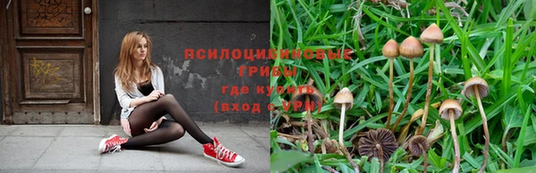 mix Нефтекумск
