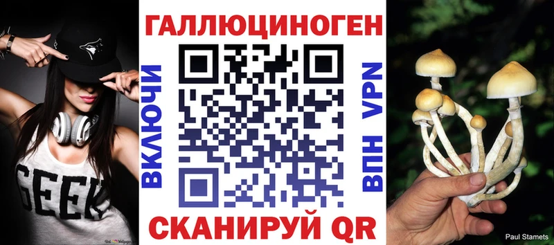 даркнет сайт  Питкяранта  Галлюциногенные грибы MAGIC MUSHROOMS 